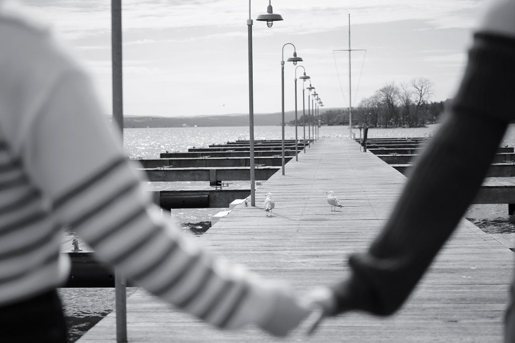 Finger Lakes engagement photos overlooking Canandaigua Lake